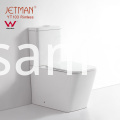 WC a doppio scarico senza bordo Watermark Watermark Rimless Dual Flushing Toilet